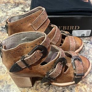 Freebird Violet Brand New in box